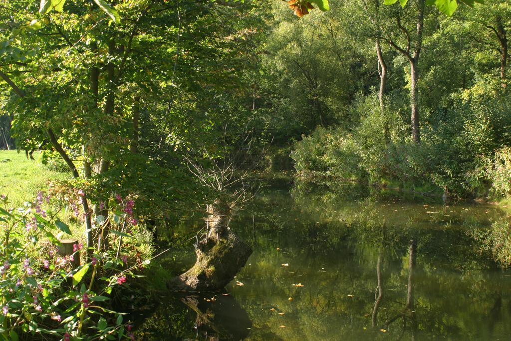 Turisticka Ubytovna Cakle Ústí nad Orlicí Bagian luar foto